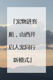 宠物进客舱，山西开启人宠同行新模式