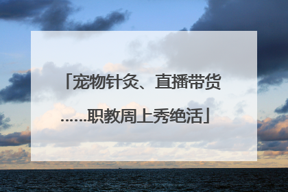 宠物针灸、直播带货……职教周上秀绝活