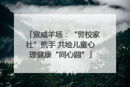 宣威羊场：“警校家社”携手 共绘儿童心理健康“同心圆”