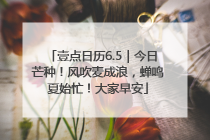 壹点日历6.5｜今日芒种！风吹麦成浪，蝉鸣夏始忙！大家早安