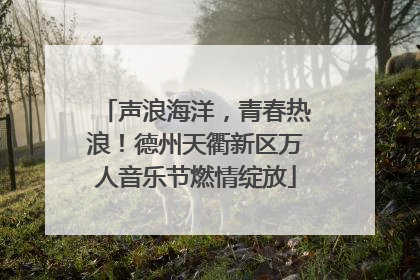 声浪海洋，青春热浪！德州天衢新区万人音乐节燃情绽放