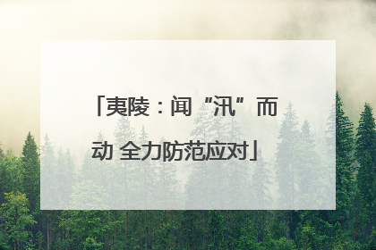 夷陵：闻“汛”而动 全力防范应对