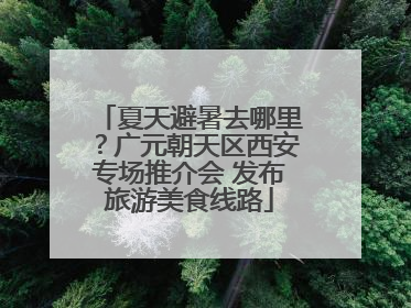 夏天避暑去哪里？广元朝天区西安专场推介会 发布旅游美食线路