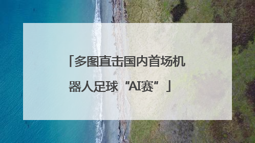 多图直击国内首场机器人足球“AI赛”