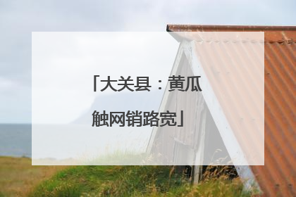 大关县：黄瓜触网销路宽