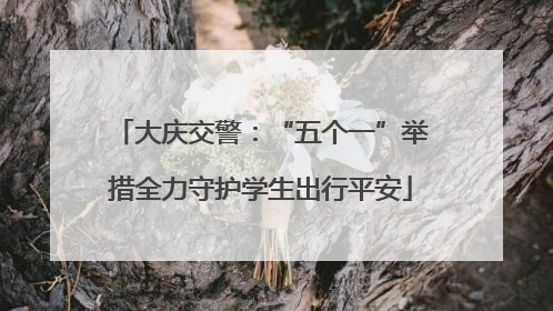大庆交警：“五个一”举措全力守护学生出行平安
