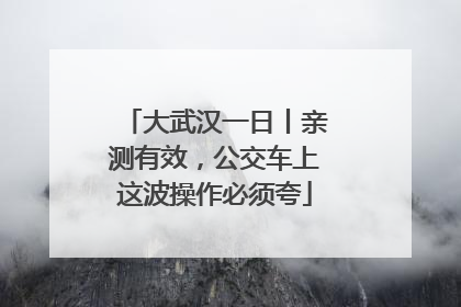 大武汉一日丨亲测有效，公交车上这波操作必须夸