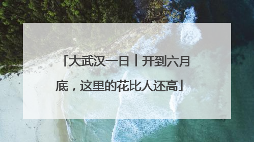 大武汉一日︱开到六月底，这里的花比人还高