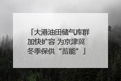 大港油田储气库群加快扩容 为京津冀冬季保供“蓄能”