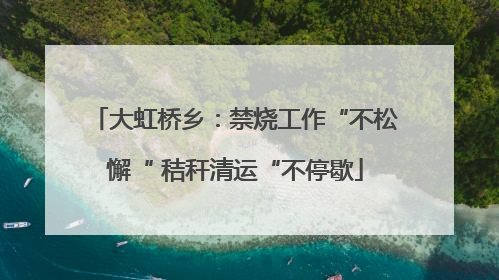大虹桥乡：禁烧工作“不松懈“ 秸秆清运“不停歇