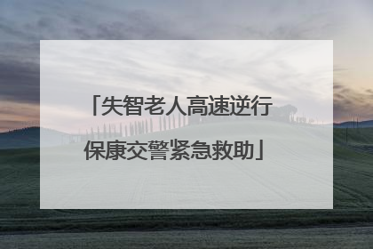 失智老人高速逆行 保康交警紧急救助