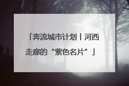 奔流城市计划丨河西走廊的“紫色名片”