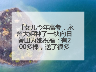 女儿今年高考，永州大姐种了一块向日葵田为她祝福：有200多棵，送了很多给其他家长