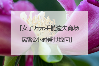 女子万元手链遗失商场 民警2小时帮其找回