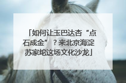 如何让玉巴达杏“点石成金”？来北京海淀苏家坨这场文化沙龙