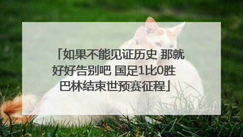 如果不能见证历史 那就好好告别吧 国足1比0胜巴林结束世预赛征程