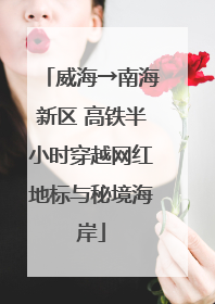 威海→南海新区 高铁半小时穿越网红地标与秘境海岸