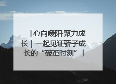 心向暖阳·聚力成长｜一起见证骄子成长的“破茧时刻”