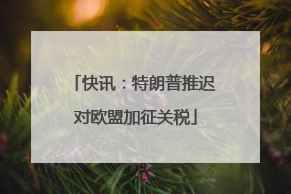 快讯：特朗普推迟对欧盟加征关税