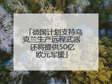 德国计划支持乌克兰生产远程武器 还将提供50亿欧元军援