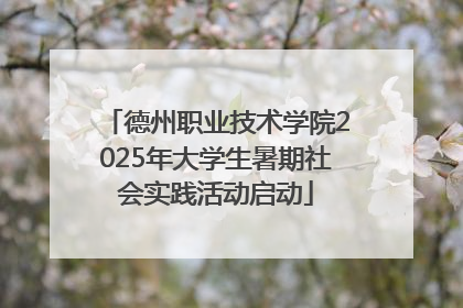 德州职业技术学院2025年大学生暑期社会实践活动启动