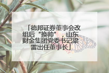 德邦证券董事会改组后“换帅”，山东财金集团党委书记梁雷出任董事长