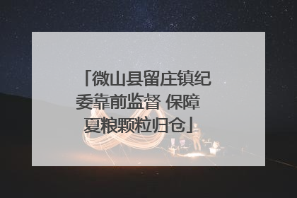 微山县留庄镇纪委靠前监督 保障夏粮颗粒归仓