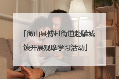微山县傅村街道赴驩城镇开展观摩学习活动