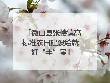 微山县张楼镇高标准农田建设绘就好“丰”景