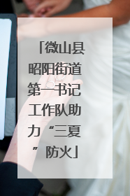 微山县昭阳街道第一书记工作队助力“三夏”防火