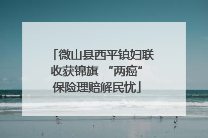 微山县西平镇妇联收获锦旗 “两癌”保险理赔解民忧