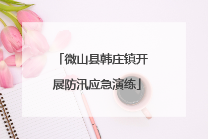 微山县韩庄镇开展防汛应急演练