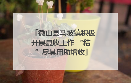 微山县马坡镇积极开展夏收工作 “秸”尽其用助增收