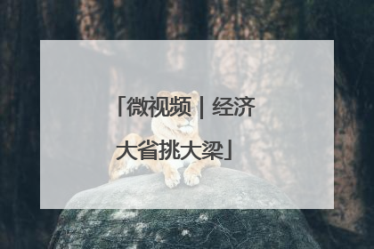 微视频|经济大省挑大梁