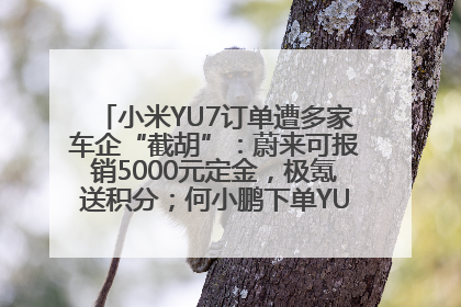小米YU7订单遭多家车企“截胡”：蔚来可报销5000元定金，极氪送积分；何小鹏下单YU7，喊话雷军早点交付