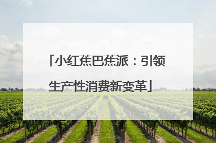 小红蕉巴蕉派：引领生产性消费新变革