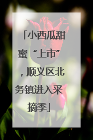 小西瓜甜蜜“上市”，顺义区北务镇进入采摘季