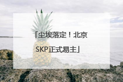 尘埃落定！北京SKP正式易主