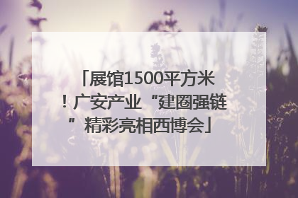 展馆1500平方米！广安产业“建圈强链”精彩亮相西博会