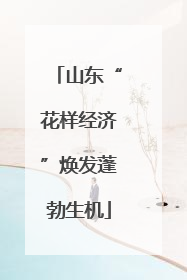 山东“花样经济”焕发蓬勃生机