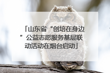 山东省“创培在身边”公益志愿服务基层联动活动在烟台启动
