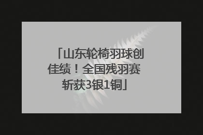 山东轮椅羽球创佳绩！全国残羽赛斩获3银1铜