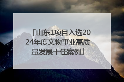 山东1项目入选2024年度文物事业高质量发展十佳案例