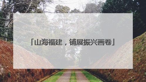 山海福建，铺展振兴画卷