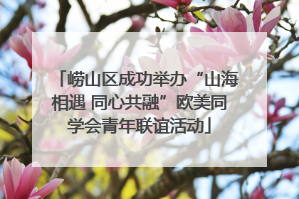崂山区成功举办“山海相遇 同心共融”欧美同学会青年联谊活动