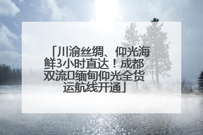 川渝丝绸、仰光海鲜3小时直达！成都双流⇌缅甸仰光全货运航线开通