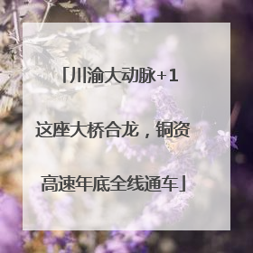 川渝大动脉+1 这座大桥合龙，铜资高速年底全线通车