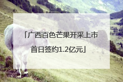 广西百色芒果开采上市 首日签约1.2亿元