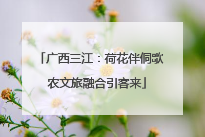广西三江：荷花伴侗歌 农文旅融合引客来