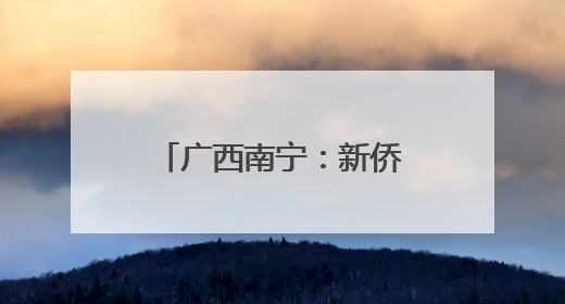 广西南宁：新侨代表共叙端午情